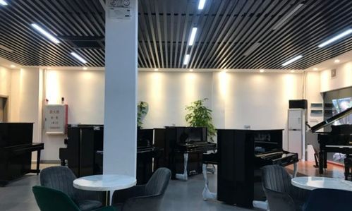 中山木偶琴行好不好 木偶琴行怎么样 淘学培训