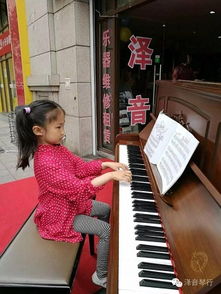 泽音琴行主页 地址电话 学费价格 教育宝