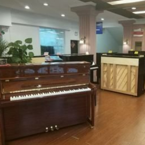 莘韵琴行加盟
