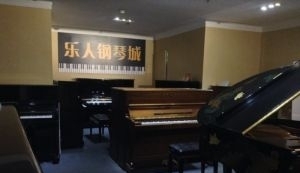 乐人琴行三月购琴最实惠 -深圳福田区岗厦乐器