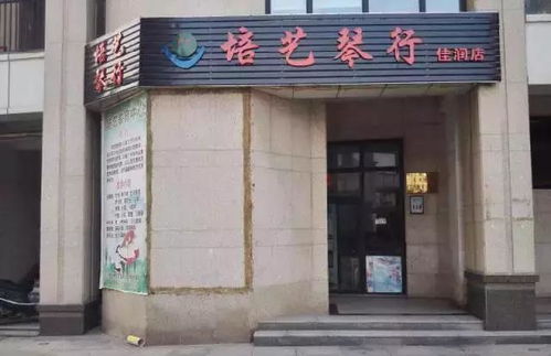 摇滚音乐节震撼来袭,摇滚激情点燃湿地夜空