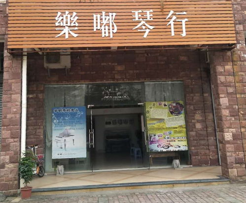 佛山市高明区乐嘟琴行