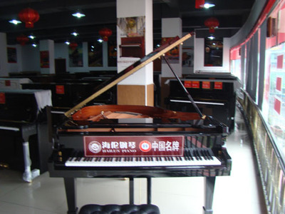 怀化人才网 仙韵琴行招聘 在怀化找工作,上怀化人才网_hhrcw.com