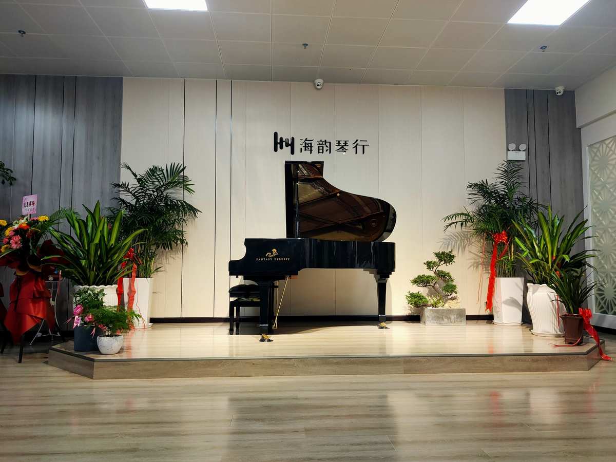相约海韵琴行,圆您音乐之梦. - 美篇